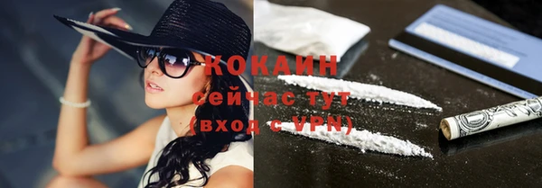 индика Михайловка