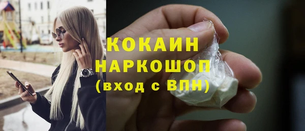 индика Михайловка