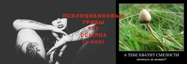 индика Михайловка
