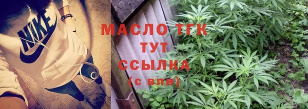 индика Михайловка