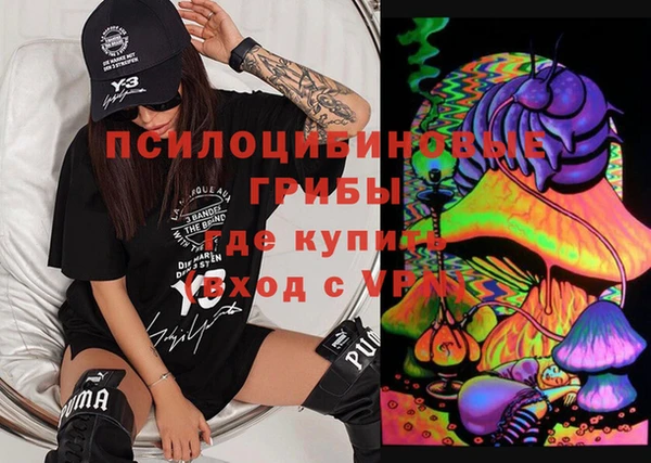 индика Михайловка